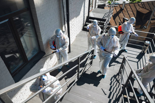 Best Emergency Mold Remediation  in Moncks Corner, SC