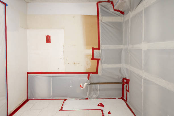 Best Residential Mold Inspection & Testing  in Moncks Corner, SC