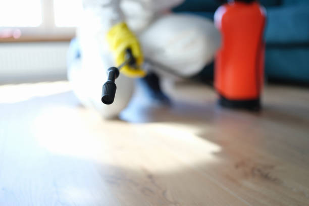 Best Basement Mold Removal  in Moncks Corner, SC