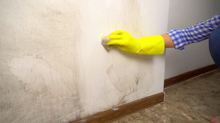 Best Airborne Mold Testing  in Moncks Corner, SC