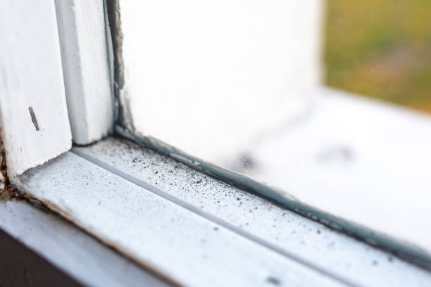 Best Dehumidification Services  in Moncks Corner, SC