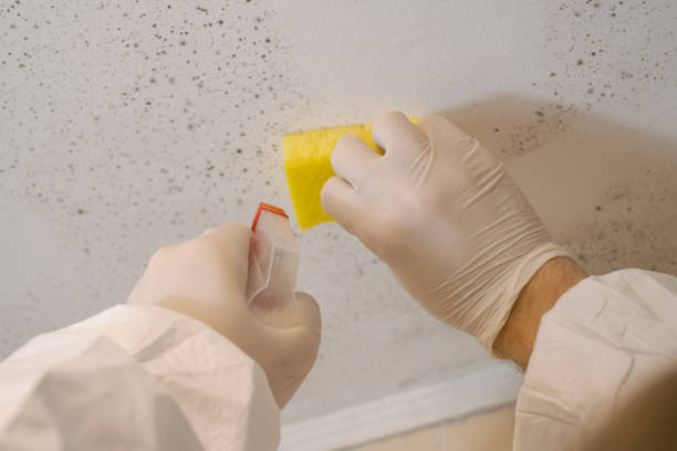 Best Asbestos and Lead Testing During Mold Inspection  in Moncks Corner, SC