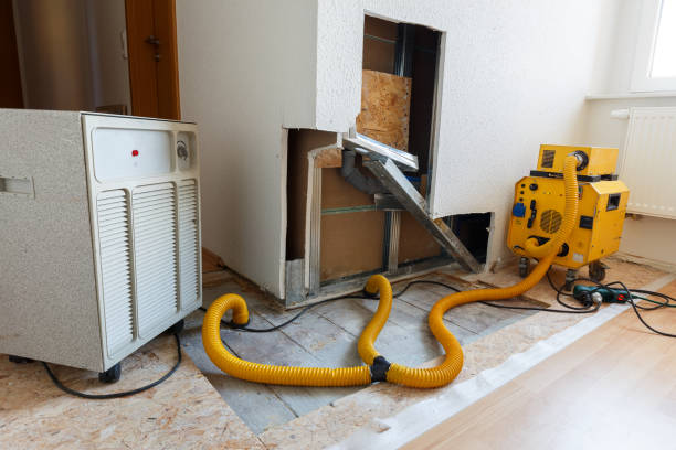 Best Attic Mold Removal  in Moncks Corner, SC