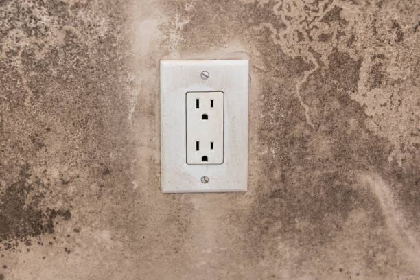 Mold Odor Removal Services in Moncks Corner, SC